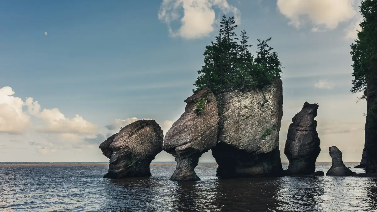 Hopewell Rocks